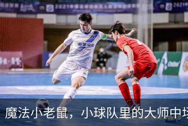 魔法小老鼠，小球队里的大师中场，欧洲杯0出场，生不逢时？